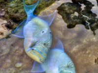 IMG 7863-enhanced 5490x6400 U 100 Original ratio