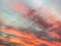 IMG_1980 (1)