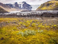 585A0975-Enhanced-NR-1