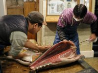 TOKYOD27-enhanced 1920x1400 U 80 Original ratio : Web Sharp: Original ratio