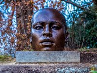 20171125 2545-enhanced 1920x2528 U 100 Original ratio : Web Sharp Pro: Original ratio