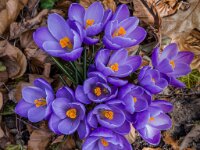 IDG_20260325_141154_311