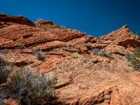 CRW 9693-Enhanced-NR