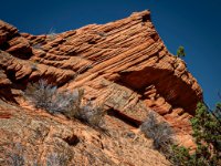 CRW 9695-Enhanced-NR 1