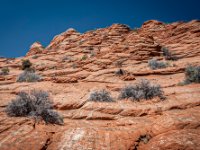 CRW 9696-Enhanced-NR 1