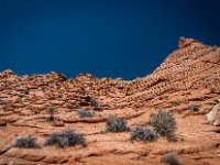 CRW 9697-Enhanced-NR