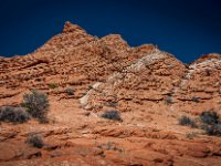 CRW 9698-Enhanced-NR