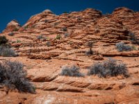 CRW 9699-Enhanced-NR