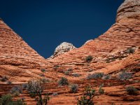 CRW 9726-Enhanced-NR