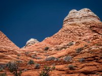 CRW 9727-Enhanced-NR