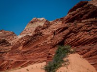 CRW 9732-Enhanced-NR