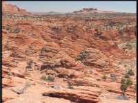 Coyote14 : Coyote Butes, Pariah Wilderness, the Wave