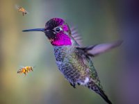 585A3725-Enhanced-NR 1920x1649 U 50 Original ratio : Web Sharp: Original ratio