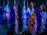 IMG 1648-Enhanced-NR