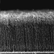 Photo of nanotubes 