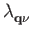$\displaystyle \lambda_{{{\bf q}\nu}}^{}$