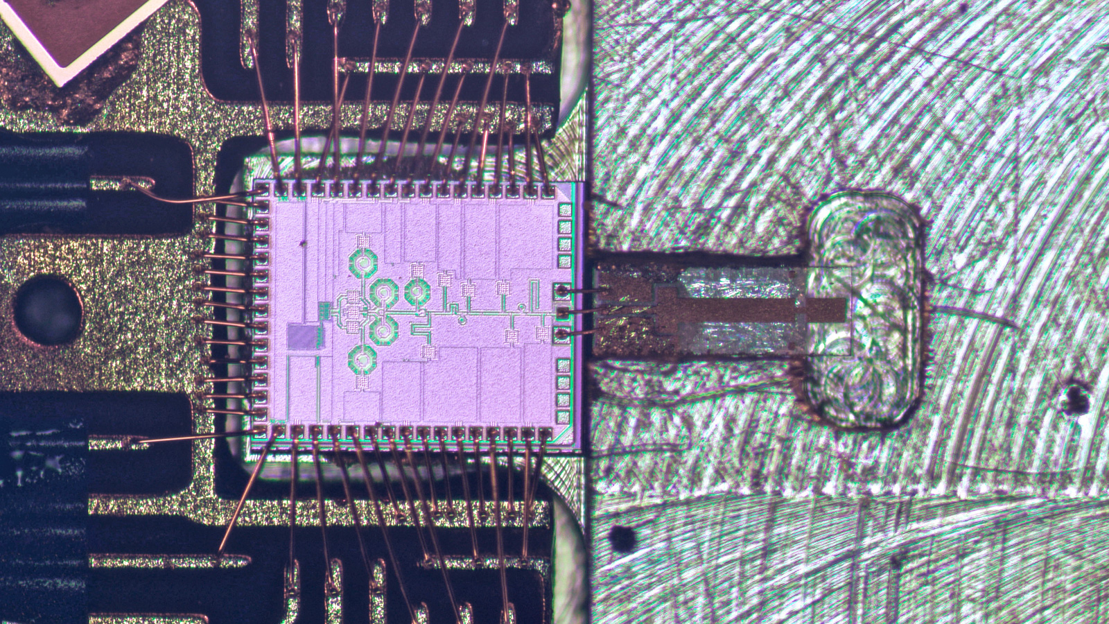 molecular lab on a chip