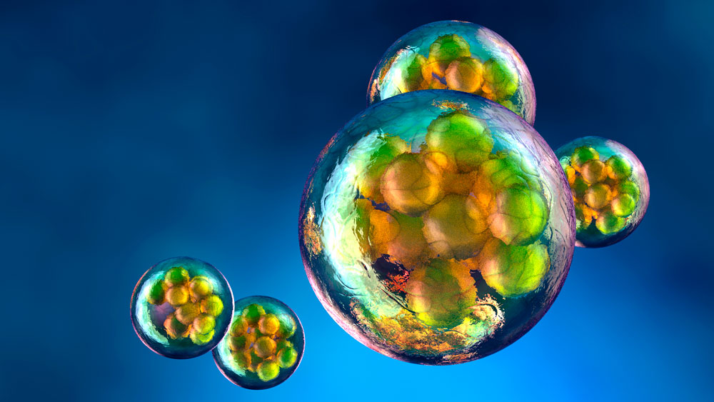 A colorful image of human cells