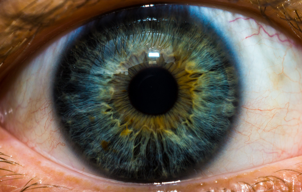 A very close image of a human eye