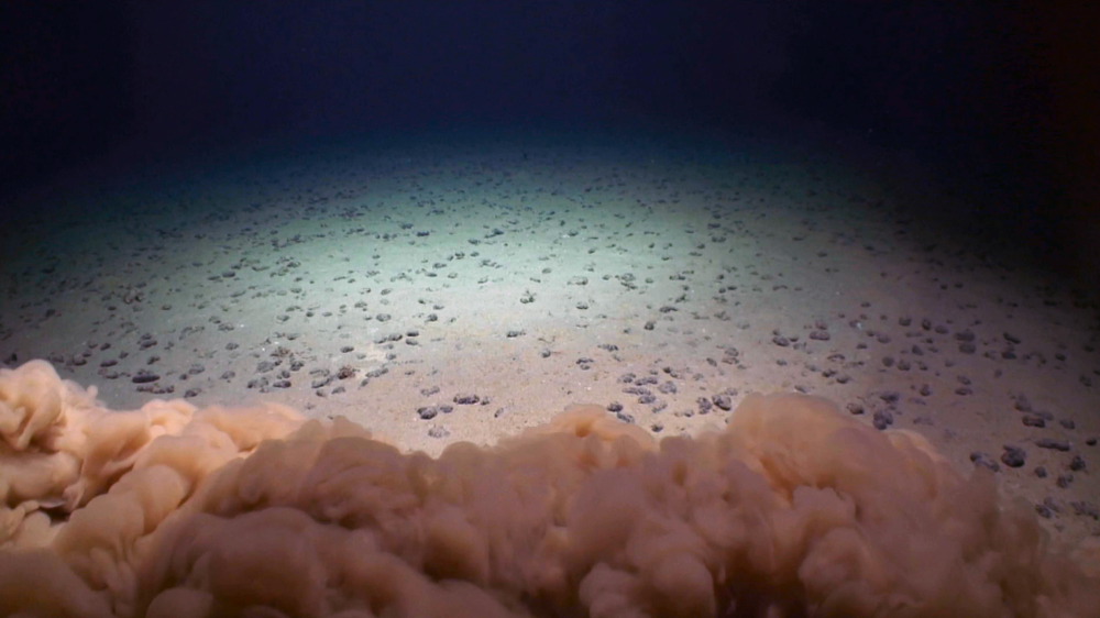 An image of polymetallic nodules at the bottom of the Pacific Ocean