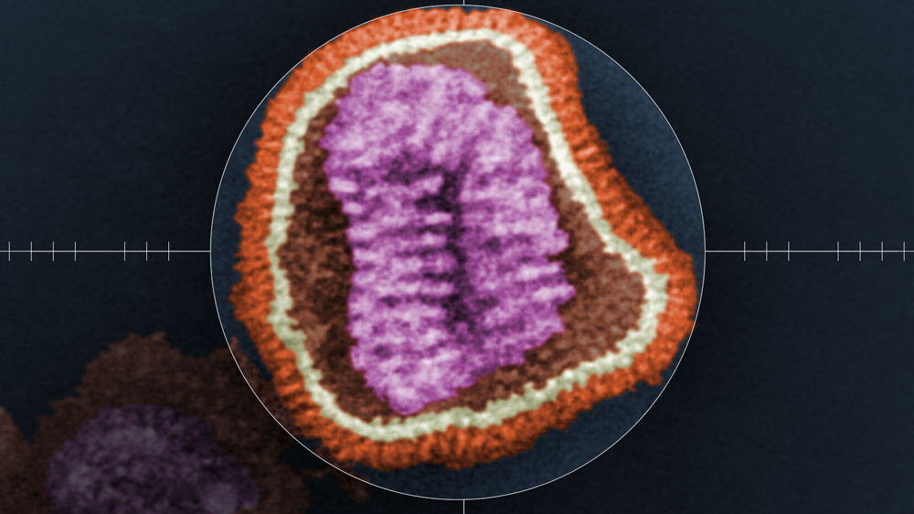 a microscopic image of an influenza virus particle colored purple and gold