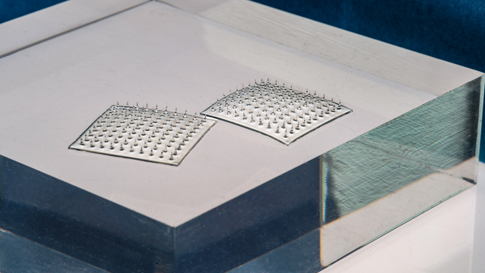 Photo of Spoilage Sensor over glass, by Felice Frankel