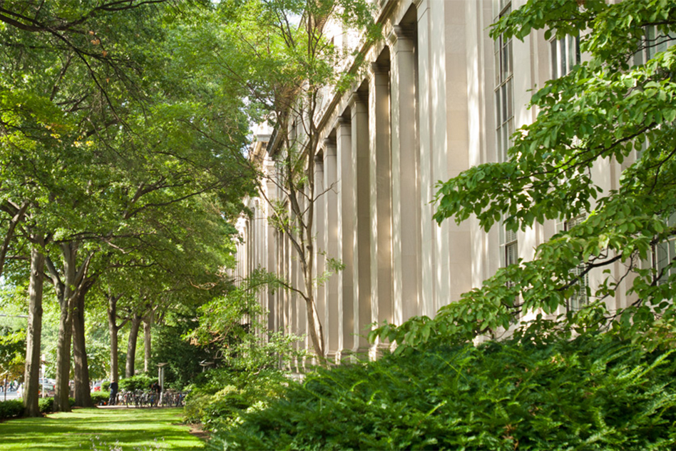 MIT campus with lots of greenery