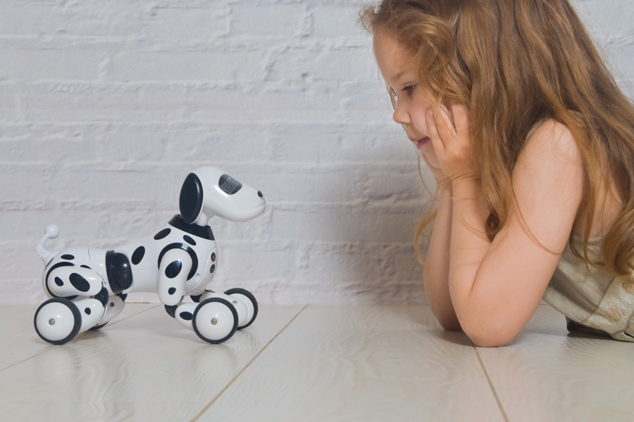 young child looking at robotic dog