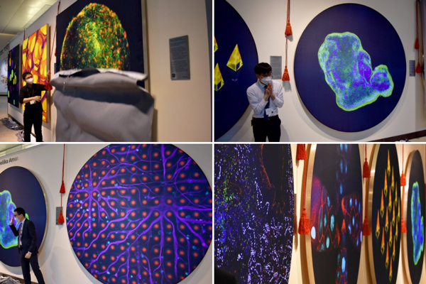 Large colorful scientific images on a wall