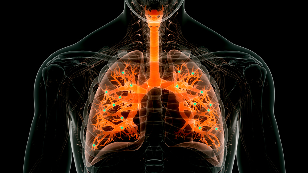 Rendering of a translucent person shows glowing orange pathways inside of lungs. Some glowing green ‘nanoparticle’ dots appear inside the pathways. 