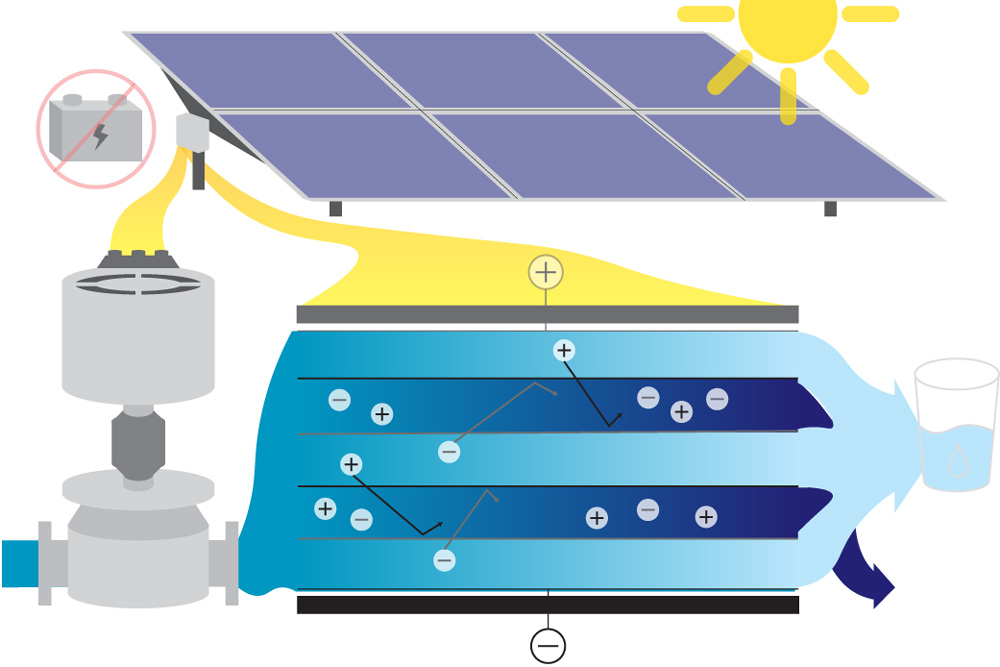 A schematic of the system.