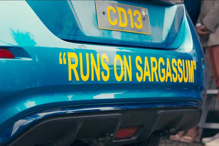 A bumper sticker says, "Runs on Sargussum."