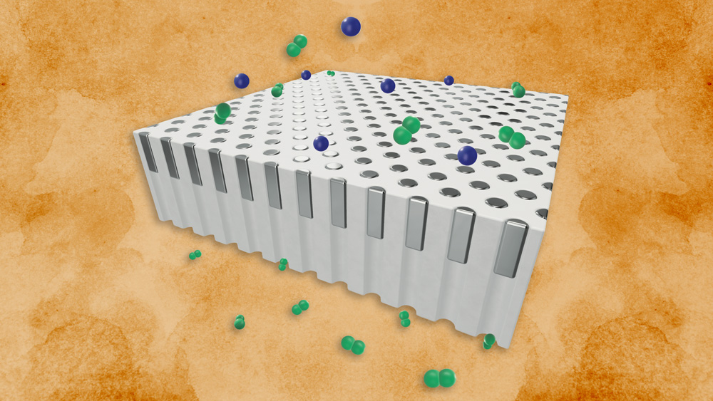 Schematic illustration of membrane