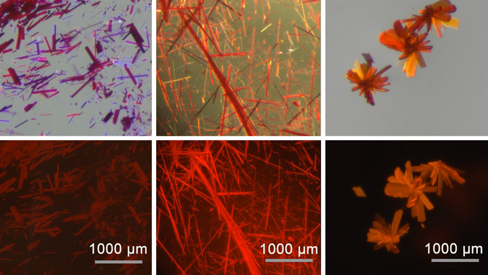 6 microscopic images of red-tinted crystals