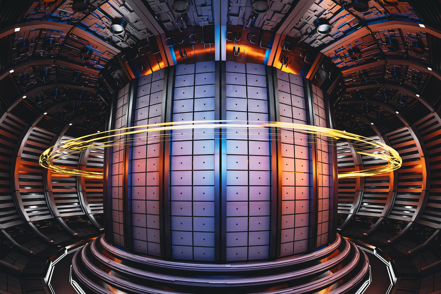 a tokomak fusion chamber
