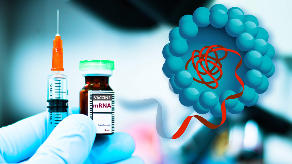 Syringe labeled mRNA, and a sherical lipid
