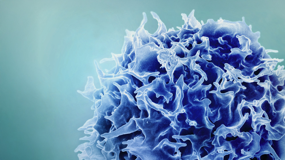 textured T-cell