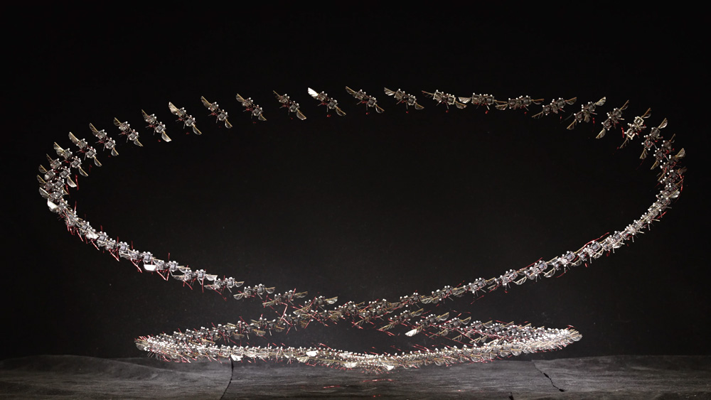 time-lapse photo of a flying, looping microrobot