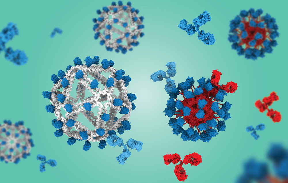 Spheres of DNA and protein that are covered in HIV antigen