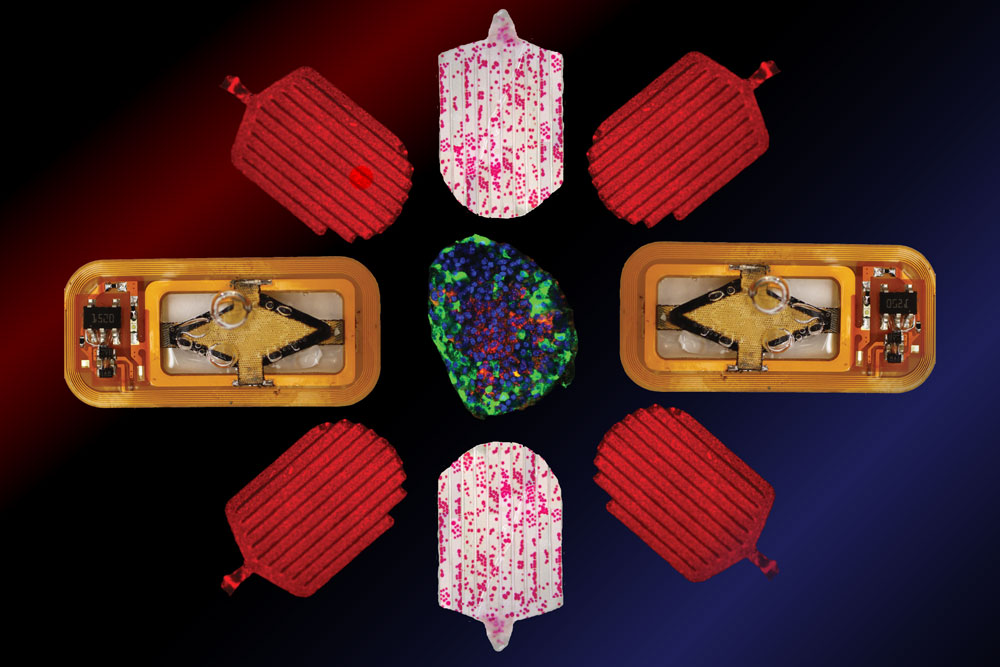 Parts of the insulin implant are arranged like a flower.