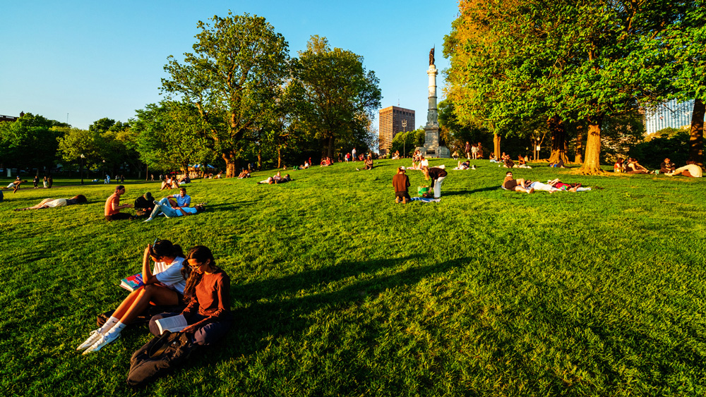 Relaxing on Boston common