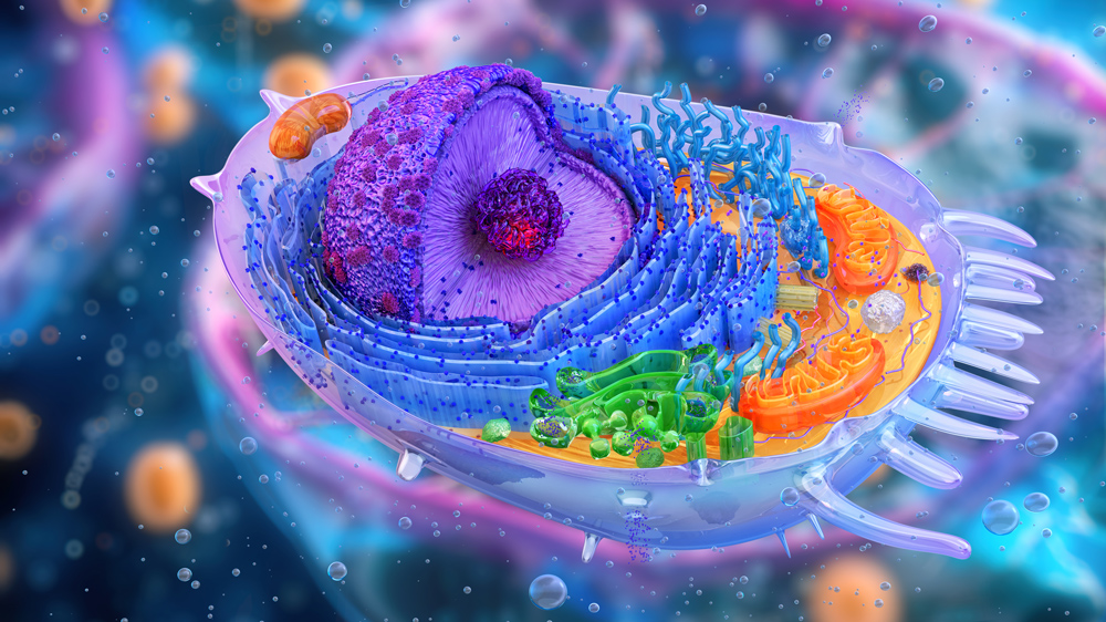 Colorful cell 