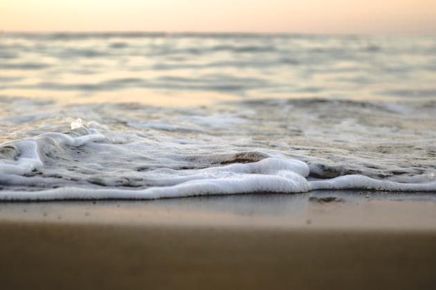 Climate-driven sea level rise is making freshwater ecosystems saltier, and MIT researchers have uncovered how that shift could reshape the microbial communities that sustain rivers and estuaries.