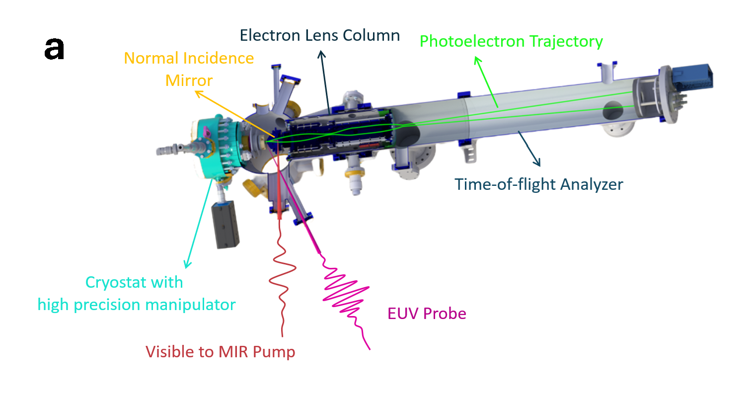 Specs METIS-1000 momentum microscope endstation with pump and probe beams, electron lens column, and time-of-flight analyzer