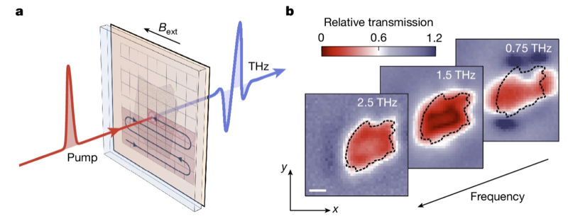 Terahertz super-resolution micro-spectroscopy setup