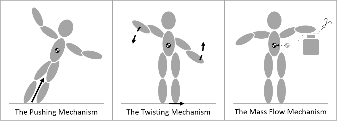 The three mechanisms of balance