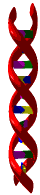 The templates may evolve but not mutate