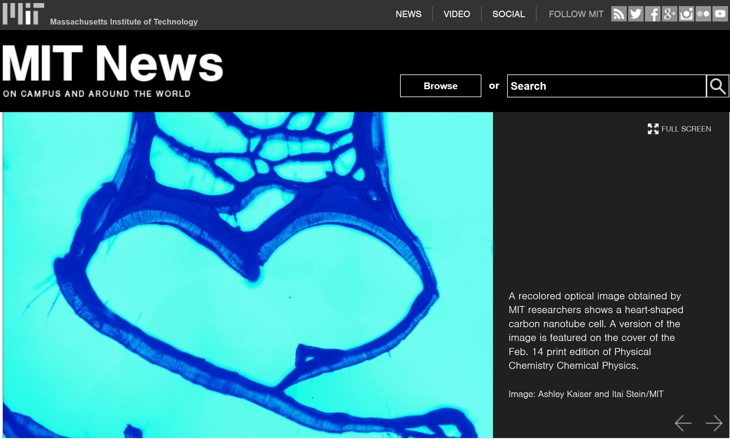 MIT News - Carbon Nanotube Cells