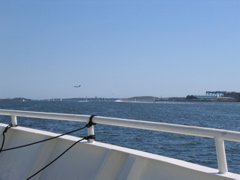 IMG_0159.JPG