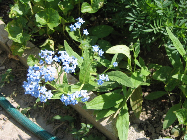 IMG_0146.JPG